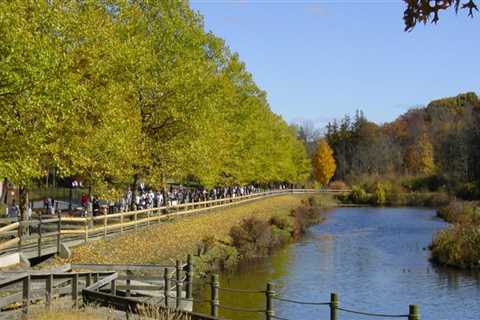 The Benefits of Doing Business in Springfield, Massachusetts
