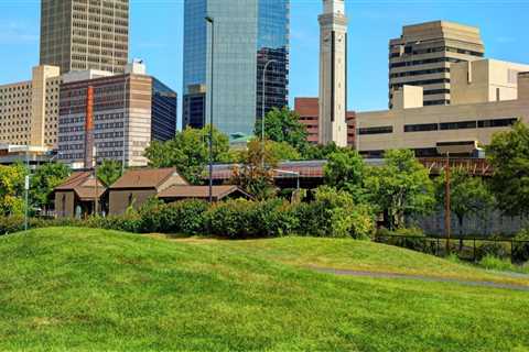 The Vital Role of Local Government in Supporting and Regulating Businesses in Springfield,..
