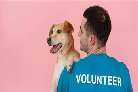 How to Save Money on Fundraising Events in Las Vegas
