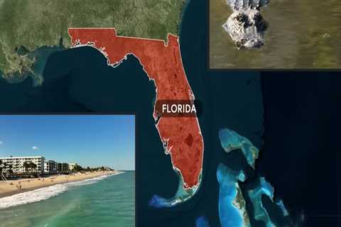 The Cost of Healthcare in Leon County, Florida: A Closer Look