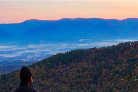 Exploring Car Insurance Discounts for Students and Young Drivers in Charlottesville, VA - Expert's..