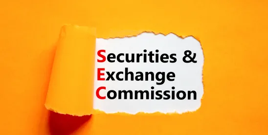 United States: The Wait is Over: SEC Approves Generic Listing Standards Benefitting Commodity-Based ..