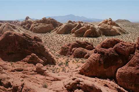 Navigating the Regulations and Laws of the Hospitality Industry in Clark County, Nevada