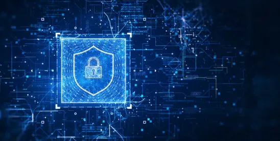 China Issued Draft Rules for Identifying Online Service Providers Subject to the Regulations on the ..