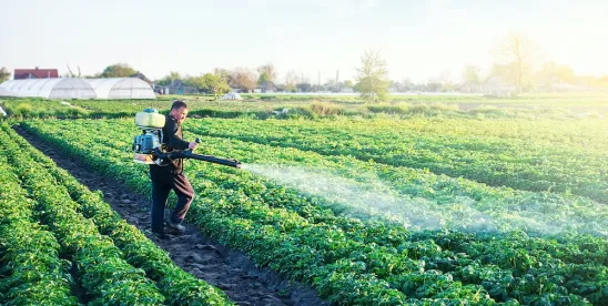 Cal/OSHA Standards Board Declines to Adopt Emergency Avian Flu Protections for Agriculture Workers
