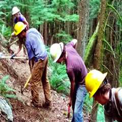 The Importance of Training and Orientation for Effective Volunteer Programs in Southeastern..