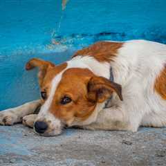 Friday Footnotes: Make PwC Look Bad and Lose Your Pension; Most IRS Operations Are Closed | 10.10.25