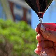 The Power of Collaborations and Partnerships in Central Virginia's Wine Industry