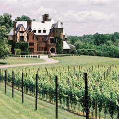 The Growing Trend of Organic and Sustainable Wines in Central Virginia