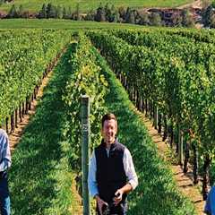 The Government's Role in Supporting and Funding the Wine Industry in Southwest Washington