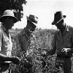 The Vital Role of Education and Training in the Wine Industry of Southwest Washington