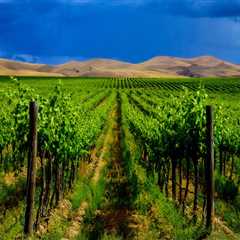 The Impact of Wineries in Southwest Washington on the Local Community