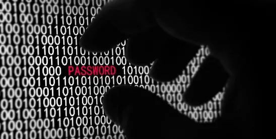 Two Notable Tech Law Decisions That Closed Out the Summer- CDA Immunity Protections for a Software..