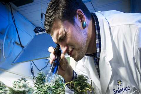 The Growing Impact of Cannabis Businesses in Southwest Washington