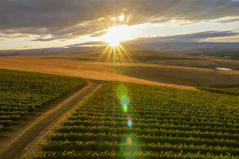 The Fascinating Influence of Geology on Grape Production in Western Washington