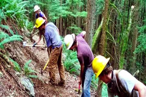 The Importance of Training and Orientation for Effective Volunteer Programs in Southeastern..