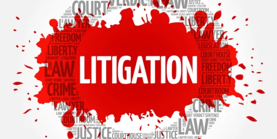 Litigation Minute - A Year After Loper Bright Part II: States Follow Suit