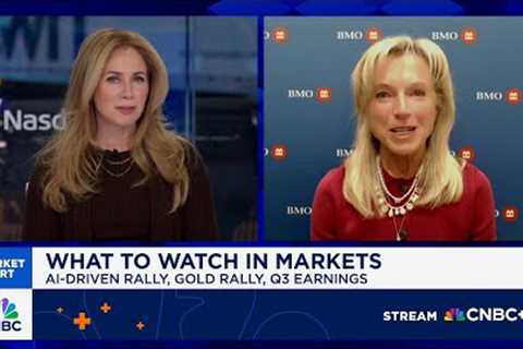 Investors are nervous, but not nervous enough to step off the equity rally: BMO''s Carol Schleif