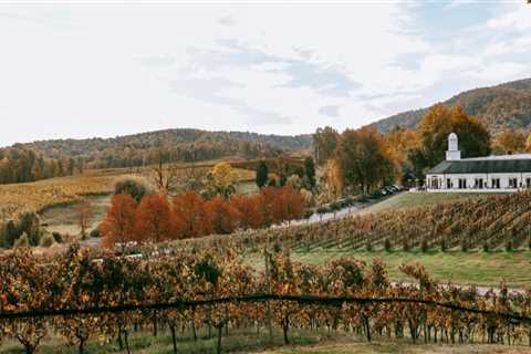 The Hidden Gem of Wine Production: Exploring Central Virginia's Rich History