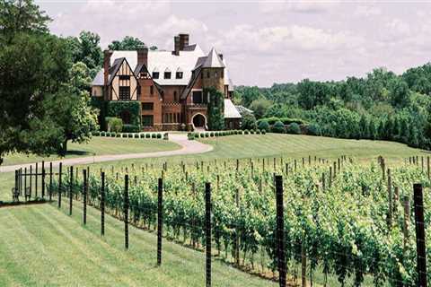 The Growing Trend of Organic and Sustainable Wines in Central Virginia