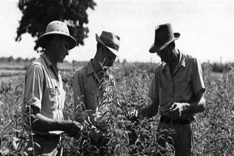 The Vital Role of Education and Training in the Wine Industry of Southwest Washington