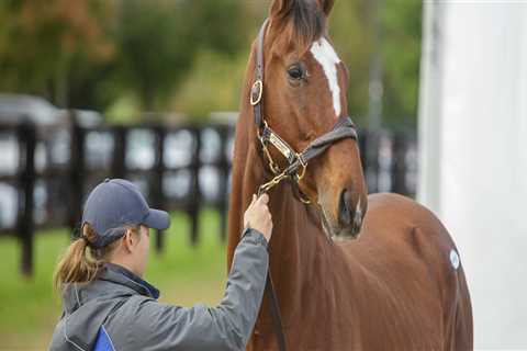 The Latest Job Opportunities and Companies Hiring in Northern Kentucky