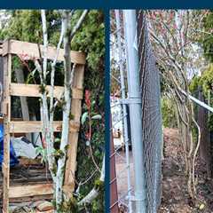 Making a Difference: Community Projects in Washington County, Oregon