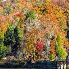 The Essential Resources Offered by Community Organizations in Montgomery County, Maryland