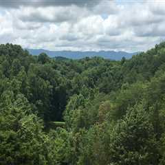 How to Get Involved in East Tennessee's Community Projects as a Non-Resident