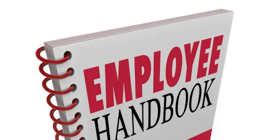 Take Time to Update Your Handbook