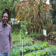 The Transformative Power of Community Gardens in Southeast Florida