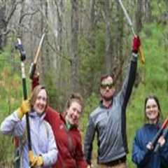 The Ultimate Guide to Supporting Charities in Northern Virginia