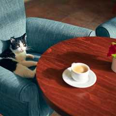 Monday Morning Accounting News Brief: New York Gets a New CPA Pathway; PwC Gives Up on Hiring 100k..