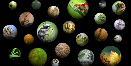 Proposed ESA Changes Would Restore Key Trump 1.0 Regulations