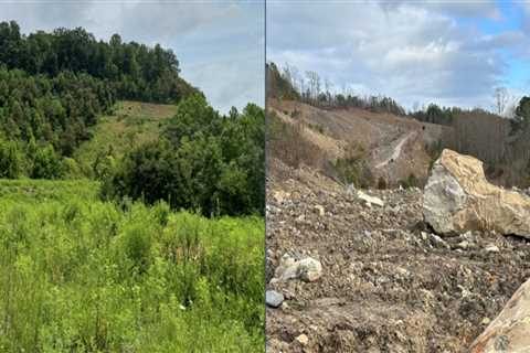 The Power of Community Projects in East Tennessee