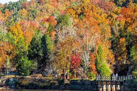 The Essential Resources Offered by Community Organizations in Montgomery County, Maryland