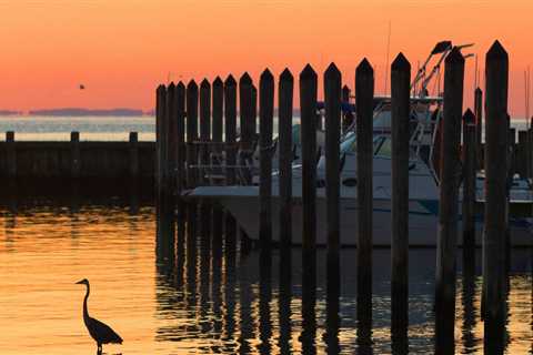 The Impact of Coalitions on Community Health in Calvert County, Maryland