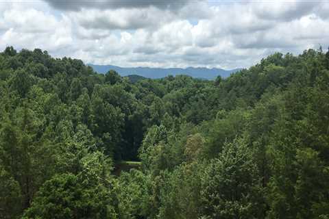 How to Get Involved in East Tennessee's Community Projects as a Non-Resident