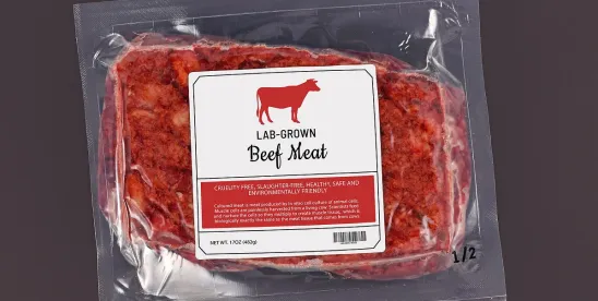 Upside Foods Challenges Florida Lab-Grown Meat Ban in Appeals Circuit
