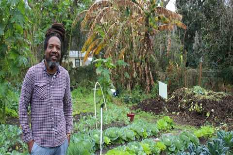 The Transformative Power of Community Gardens in Southeast Florida