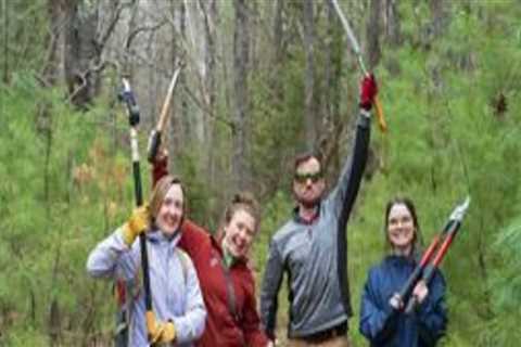 The Ultimate Guide to Supporting Charities in Northern Virginia