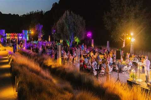 The Journey of Starting a Charitable Organization in Paso Robles, California