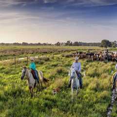 The Power of Partnerships in Habitat Conservation: A Southwest Florida Perspective