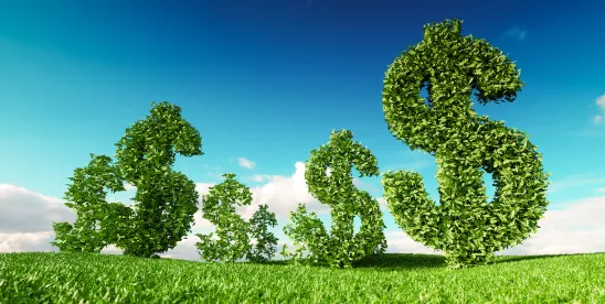 Edging Closer to CSRD Clarity on Scope