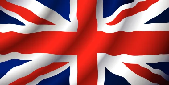 Do Non-Bank Financial Institutions Pose a Systemic Risk?