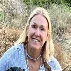 Exploring Non-Profit Pet Care Organizations in Western Washington