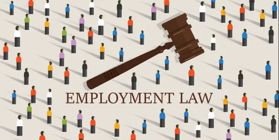 Cross-Border Catch-Up: 2026 Employment Law Changes in Poland, Belgium, and the Netherlands [Podcast]