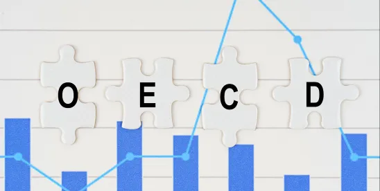 OECD Publishes Report on Identification of Exposure Metrics for Use in Evaluation of Inhalation..