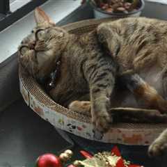 Friday Footnotes: While You’re Cozy at Home, the IRS Is Working; From Secretary to Firm Owner | 12..