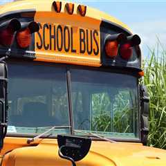 From Long Distance Moving to Local School Adventures: Why Texas Families Choose School Bus Rental